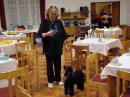 Resize of DSC06717.JPG